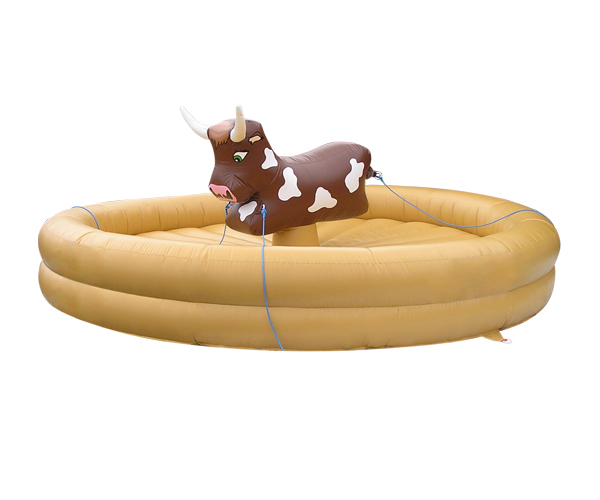Bullenreiten für Kinder